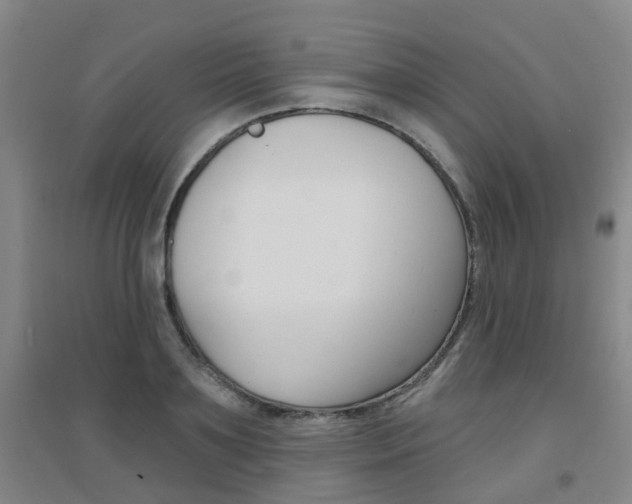 X0000094460891200711081056