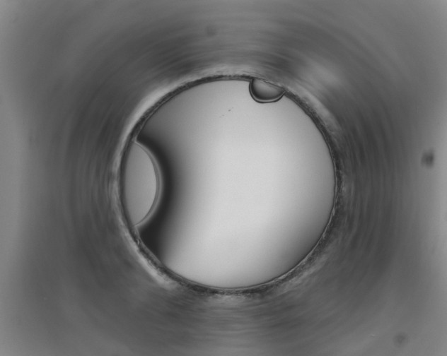 X0000094460894200711081056