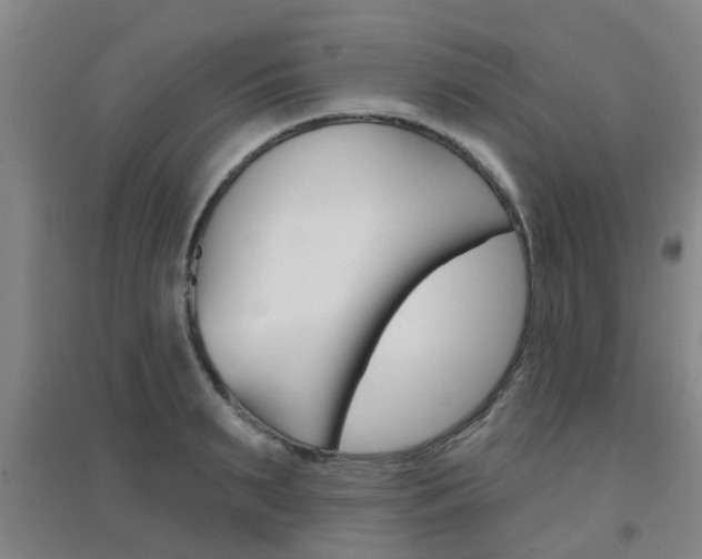 X0000094460895200711081056
