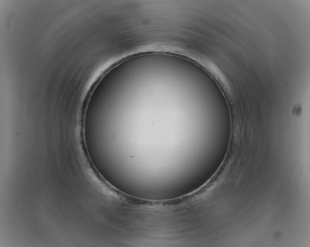 X0000094460896200711081056