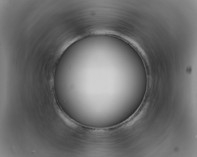 X0000094460897200711081056