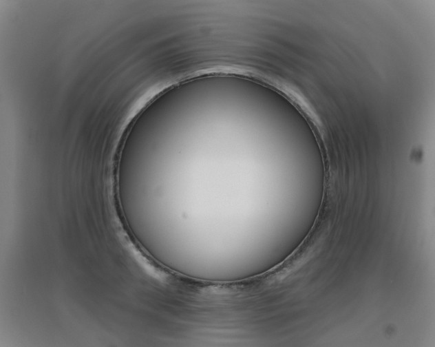 X0000094460898200711081056