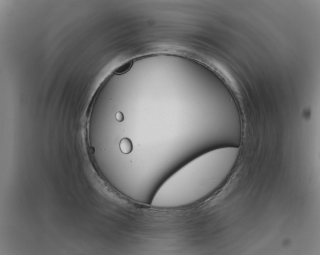 X0000094460899200711081056