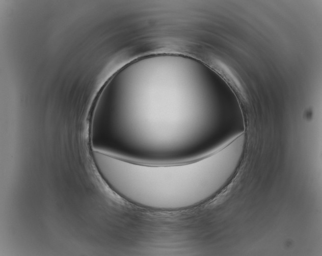 X0000094460900200711081056