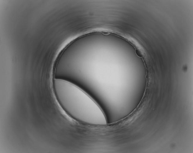 X0000094460902200711081056