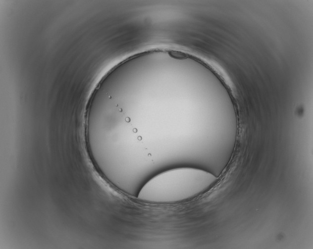 X0000094460903200711081056