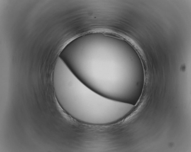 X0000094460905200711081056