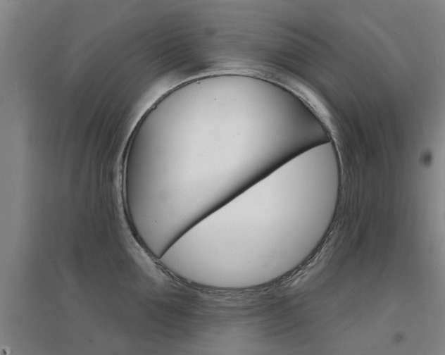 X0000094460907200711081056