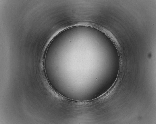 X0000094460908200711081056