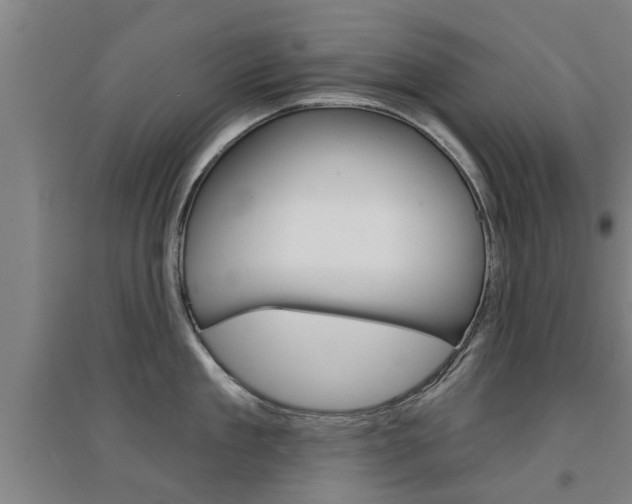 X0000094460909200711081056