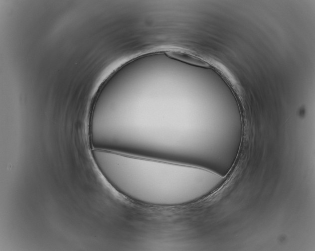 X0000094460910200711081056
