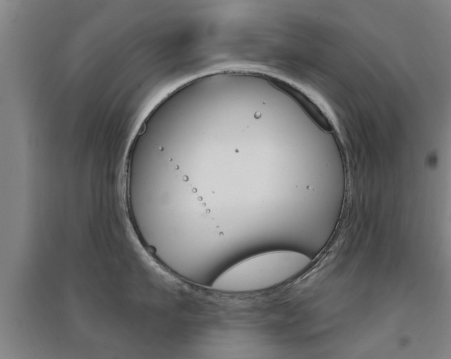 X0000094460911200711081056