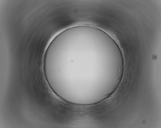 X0000094460912200711081056