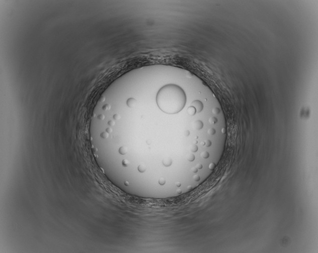 X0000094460913200711081055