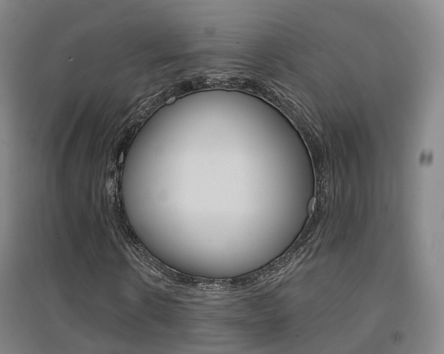 X0000094460914200711081055