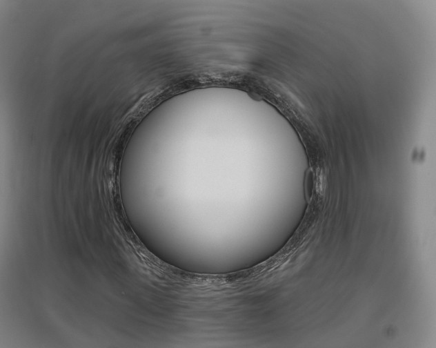 X0000094460915200711081055