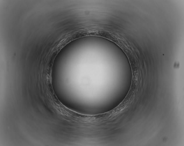 X0000094460916200711081055