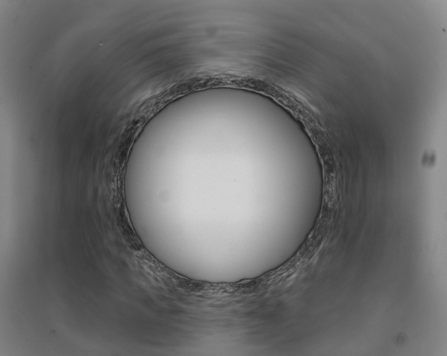 X0000094460917200711081055