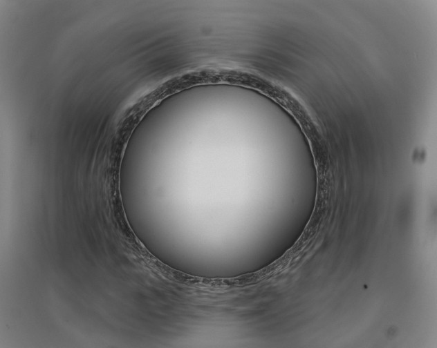 X0000094460919200711081055