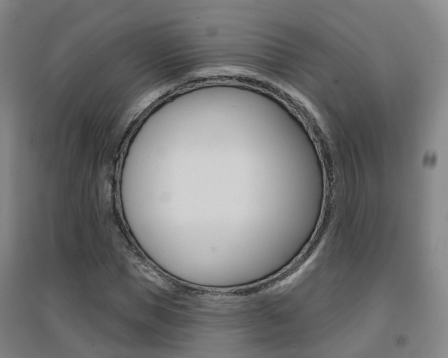 X0000094460921200711081055
