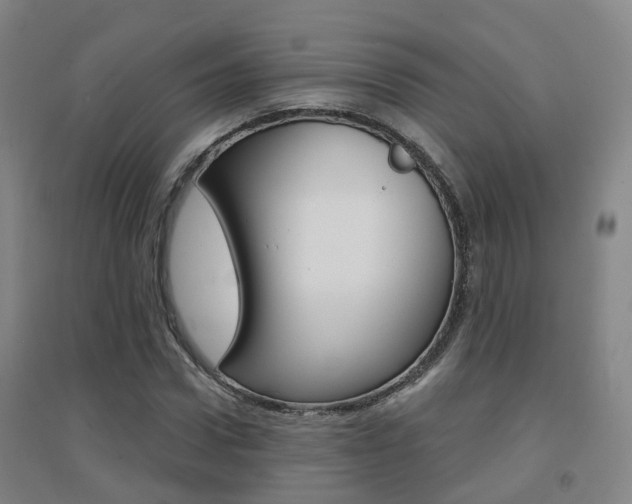 X0000094460922200711081055