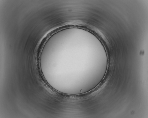 X0000094460923200711081055