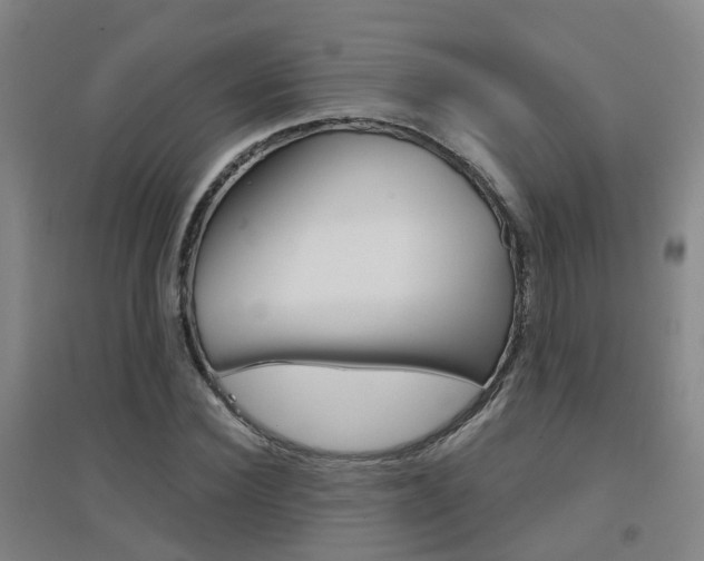 X0000094460924200711081056