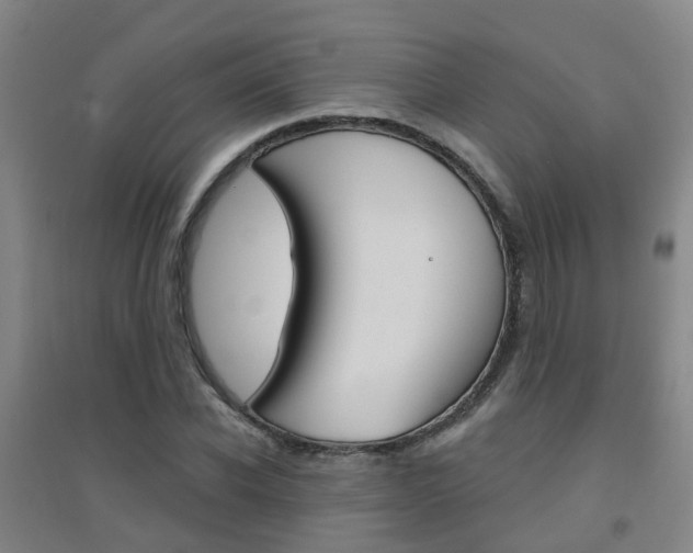 X0000094460926200711081056