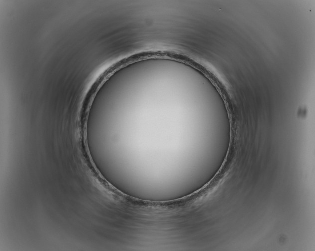 X0000094460927200711081056