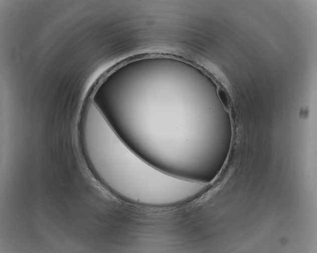 X0000094460928200711081056