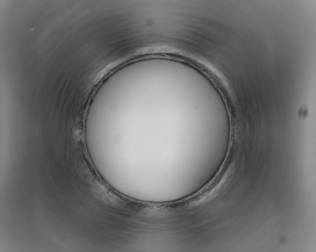 X0000094460929200711081056