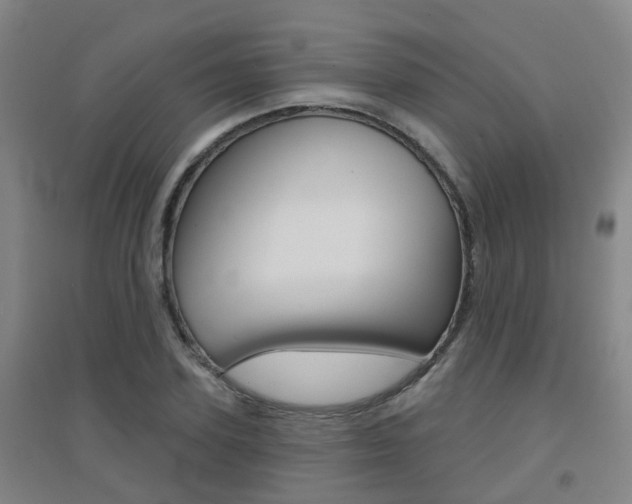 X0000094460931200711081056