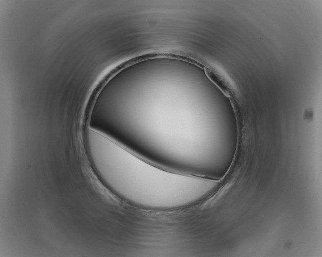 X0000094460932200711081056