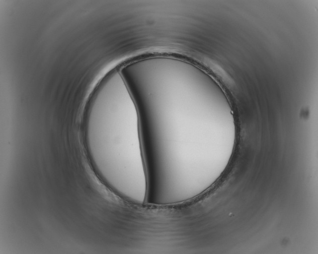 X0000094460934200711081056