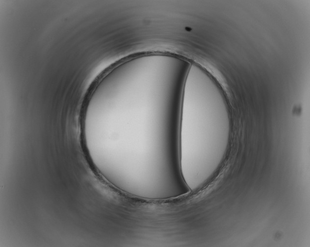 X0000094460936200711081056