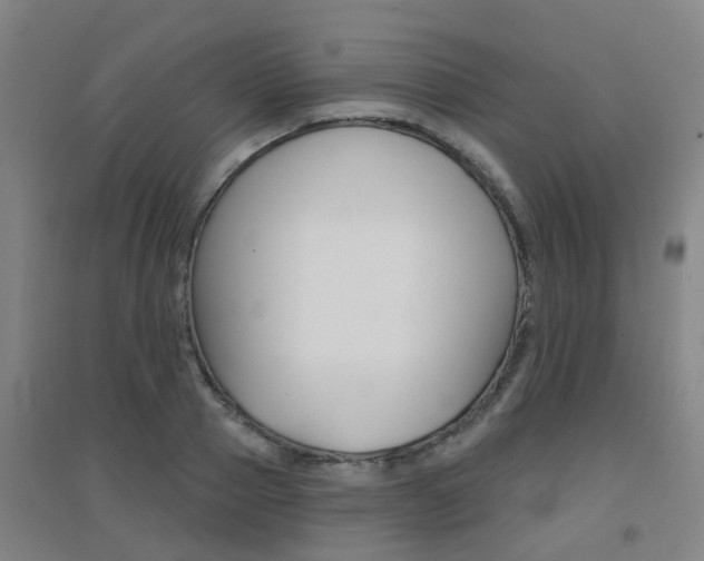 X0000094460937200711081056