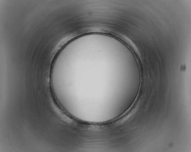 X0000094460938200711081056