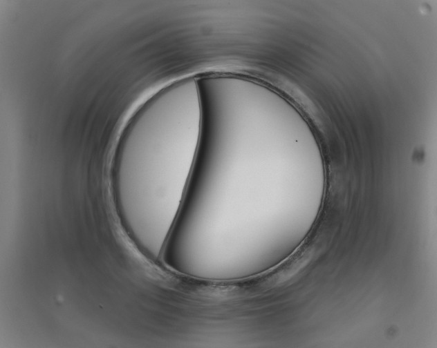 X0000094460939200711081056