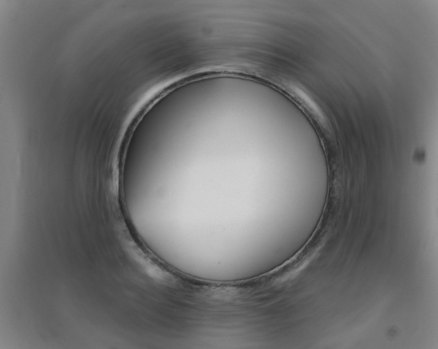X0000094460940200711081056