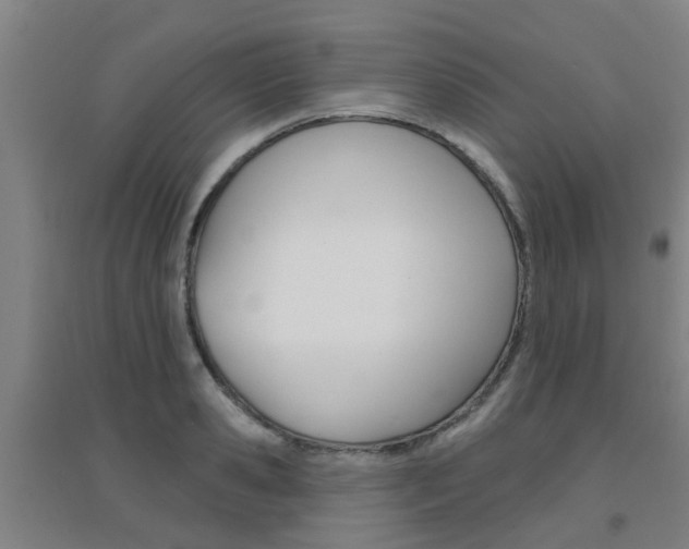 X0000094460941200711081056