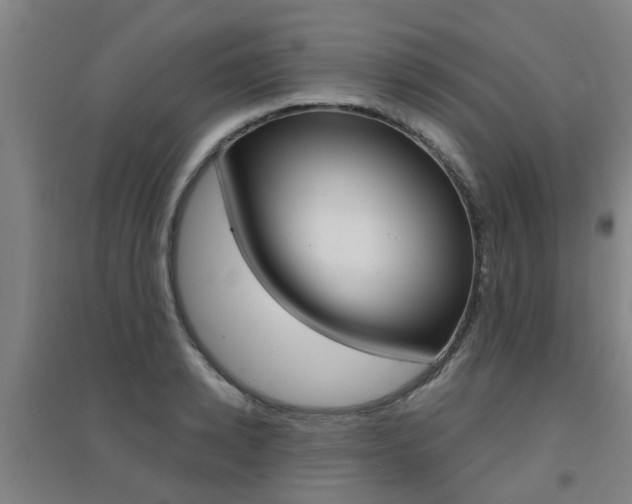 X0000094460942200711081056