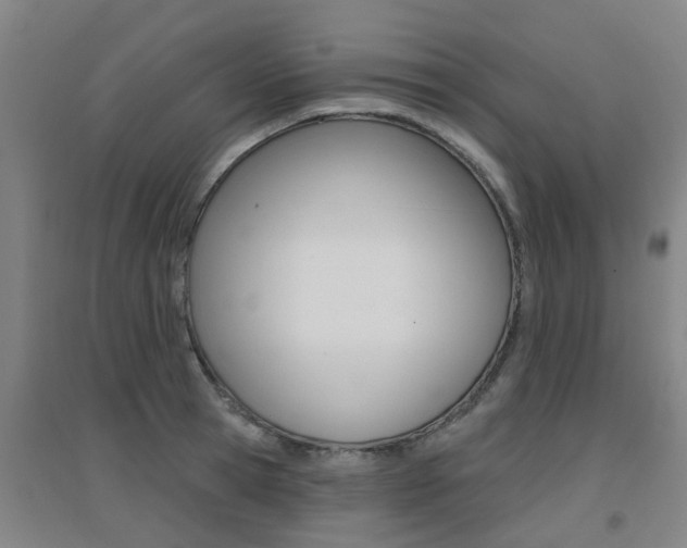 X0000094460945200711081056