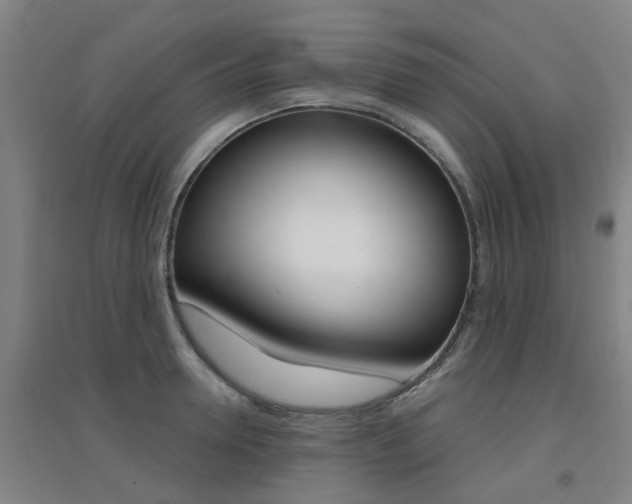 X0000094460946200711081056