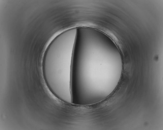 X0000094460947200711081056
