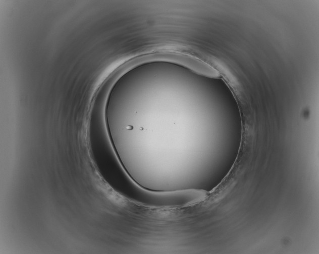 X0000094460948200711081056