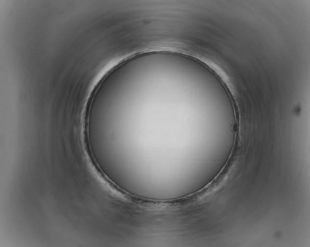 X0000094460949200711081056