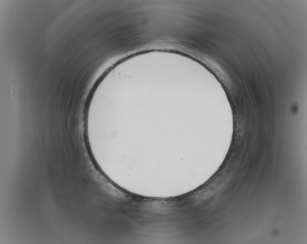 X0000094460950200711081056