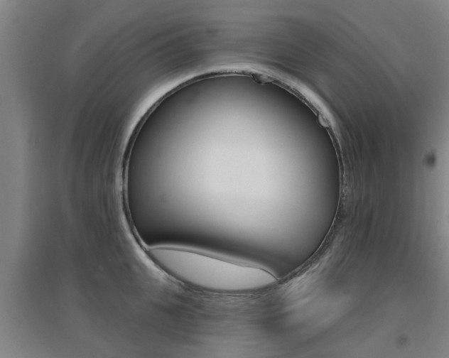 X0000094460951200711081056