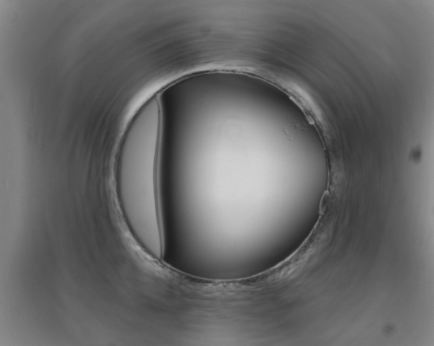 X0000094460952200711081056