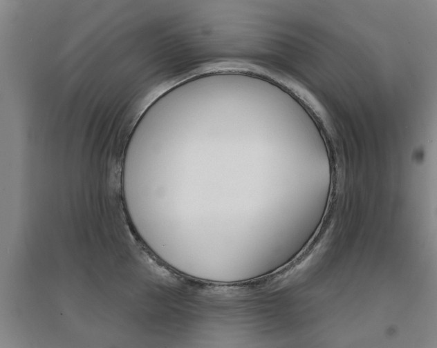 X0000094460953200711081056